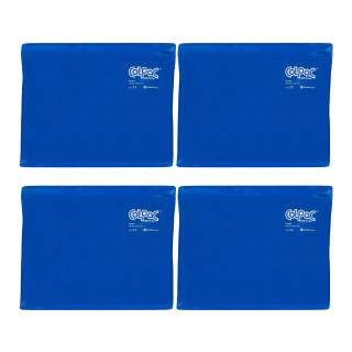 Chattanooga ColPac Reusable Blue Vinyl Gel Ice Pack (11 x 14", 4-Pack)